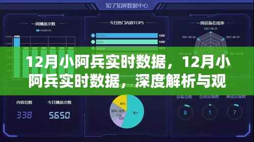 深度解析与观点阐述,12月小阿兵实时数据综述