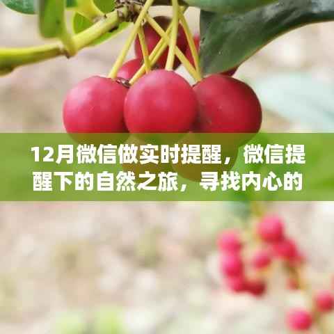 联系我们 第139页