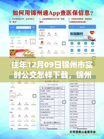 锦州市实时公交查询APP下载指南,以往年12月09日为例的教程分享