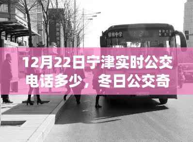 冬日宁津公交奇遇,寻找实时热线,体验温暖的公交服务