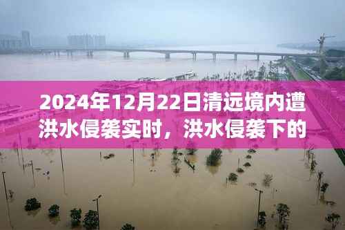 洪水侵袭下的清远秘境,美食奇遇与实时报道