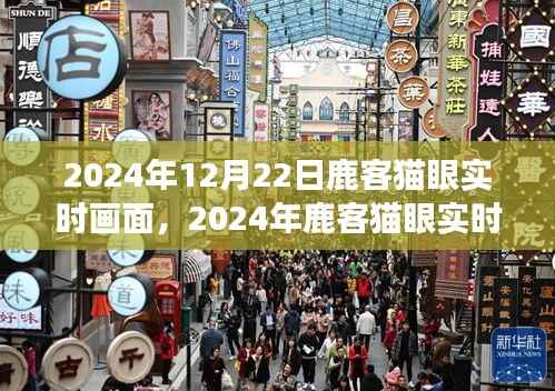 2024年鹿客猫眼实时画面,智能安防的新视界展望