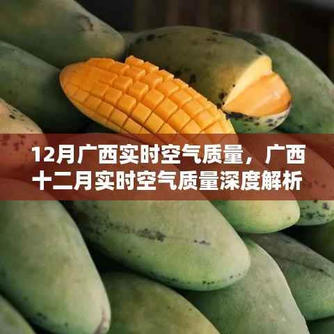 广西十二月实时空气质量深度解析与报告