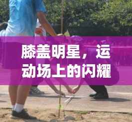 业绩展示 第119页