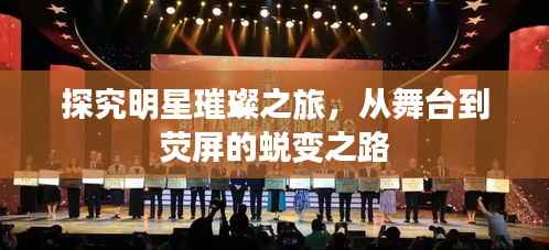 探究明星璀璨之旅,从舞台到荧屏的蜕变之路