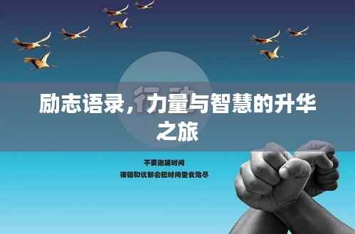 励志语录,力量与智慧的升华之旅