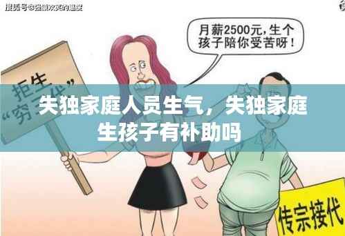 失独家庭人员生气,失独家庭生孩子有补助吗