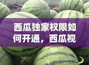 西瓜独家权限如何开通,西瓜视频独家和非独家