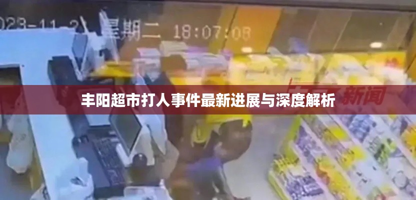丰阳超市打人事件最新进展与深度解析