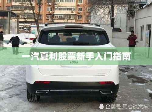 一汽夏利股票新手入门指南