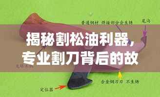 揭秘割松油利器,专业割刀背后的故事探秘