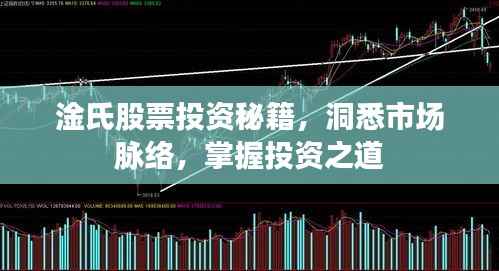 淦氏股票投资秘籍,洞悉市场脉络,掌握投资之道