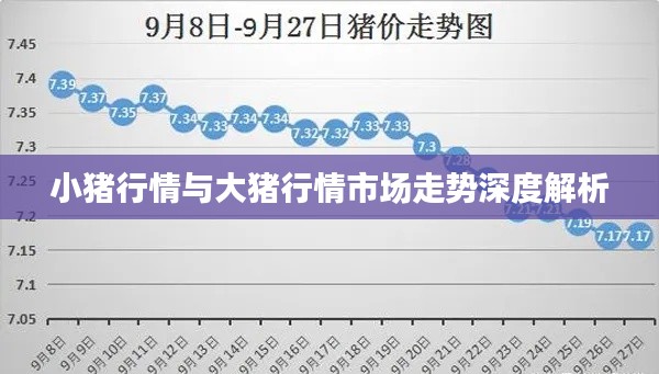 小猪行情与大猪行情市场走势深度解析