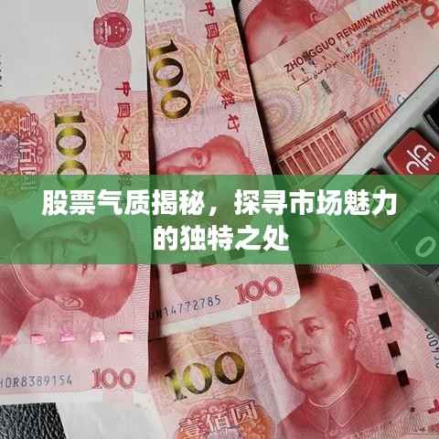 股票气质揭秘,探寻市场魅力的独特之处