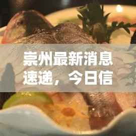 崇州最新消息速递,今日信息一网打尽!