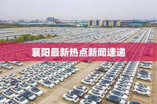 襄阳最新热点新闻速递