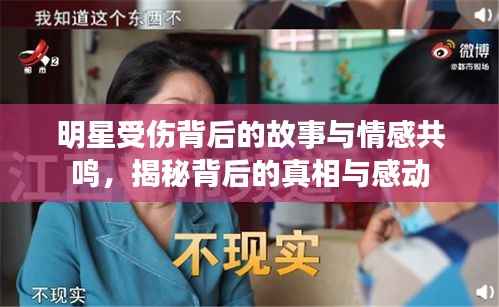 明星受伤背后的故事与情感共鸣,揭秘背后的真相与感动