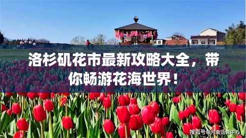 洛杉矶花市最新攻略大全,带你畅游花海世界!