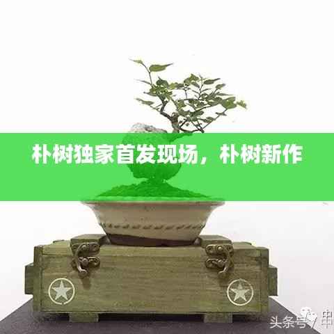 朴树独家首发现场,朴树新作