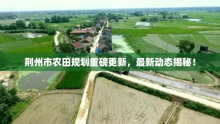 荆州市农田规划重磅更新,最新动态揭秘!