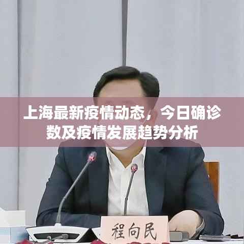 公司概况 第72页