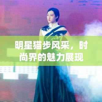 明星猫步风采,时尚界的魅力展现