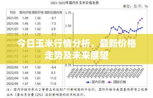 今日玉米行情分析,最新价格走势及未来展望