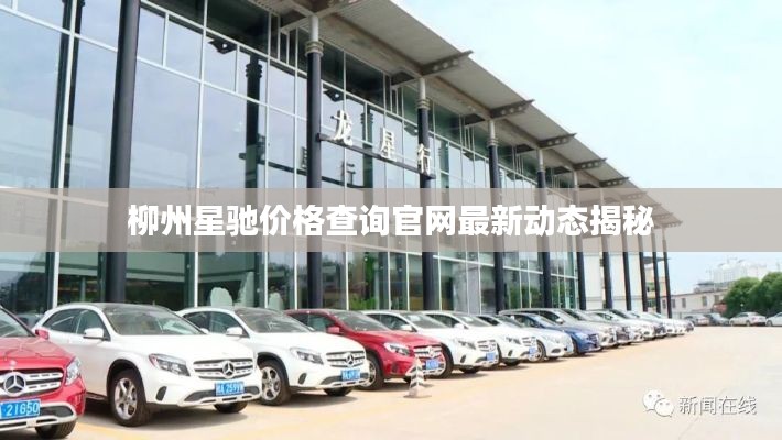 柳州星驰价格查询官网最新动态揭秘