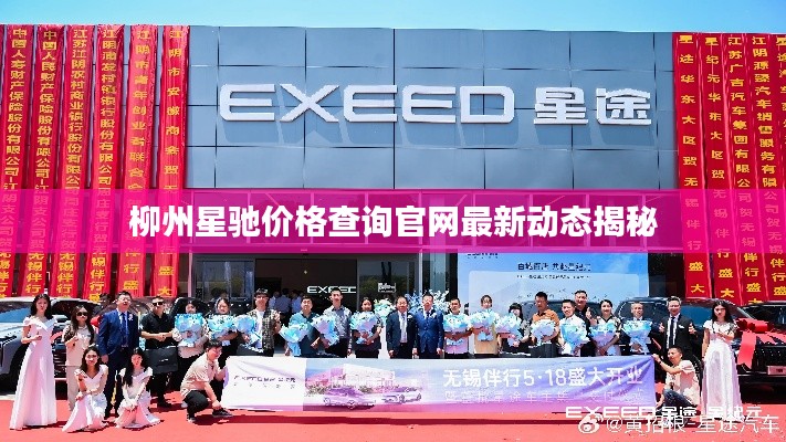 柳州星驰价格查询官网最新动态揭秘