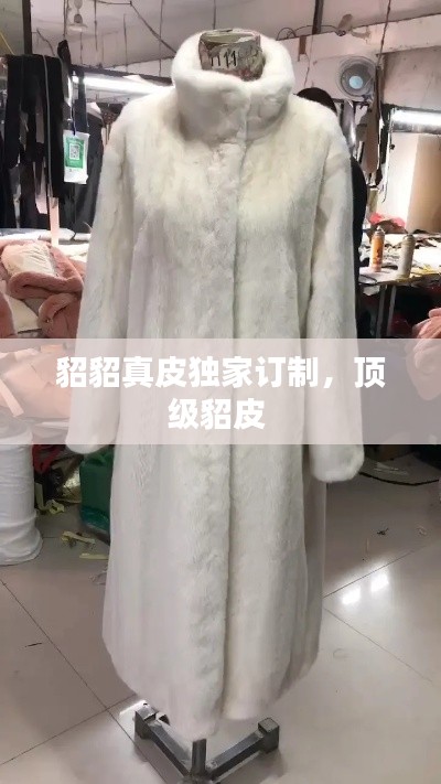 五侯七贵 第2页