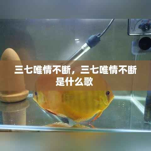 业绩展示 第66页