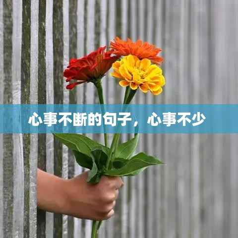 心事不断的句子,心事不少