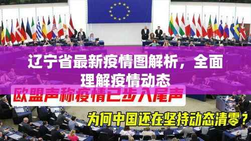 辽宁省最新疫情图解析,全面理解疫情动态