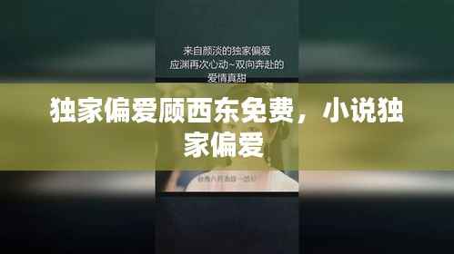 独家偏爱顾西东免费,小说独家偏爱