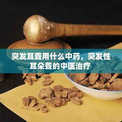 突发耳聋用什么中药，突发性耳朵聋的中医治疗 