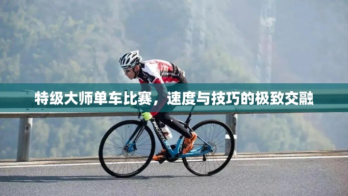 特级大师单车比赛,速度与技巧的极致交融