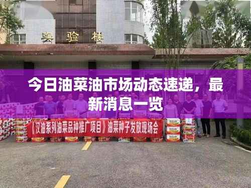 今日油菜油市场动态速递，最新消息一览