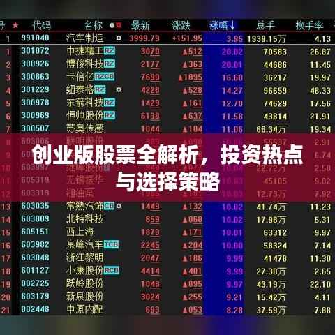 创业版股票全解析,投资热点与选择策略