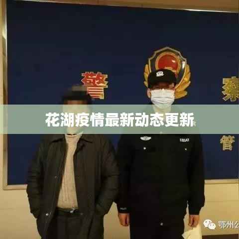 花湖疫情最新动态更新