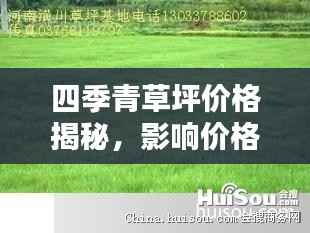 四季青草坪价格揭秘，影响价格的因素全解析