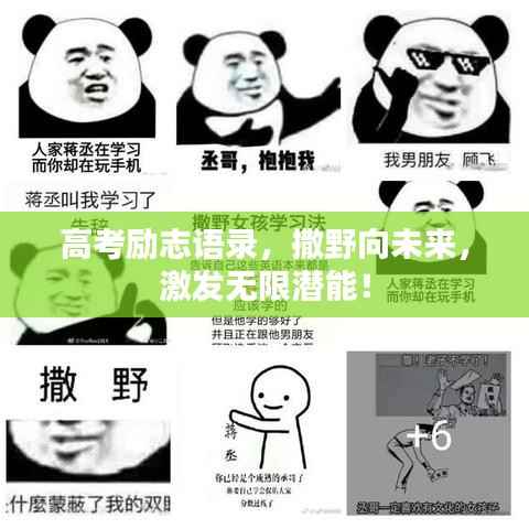 高考励志语录,撒野向未来,激发无限潜能!