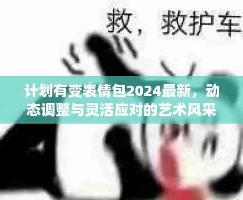 计划有变表情包2024最新,动态调整与灵活应对的艺术风采