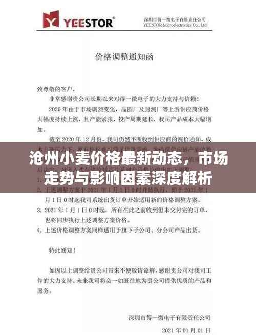 沧州小麦价格最新动态,市场走势与影响因素深度解析