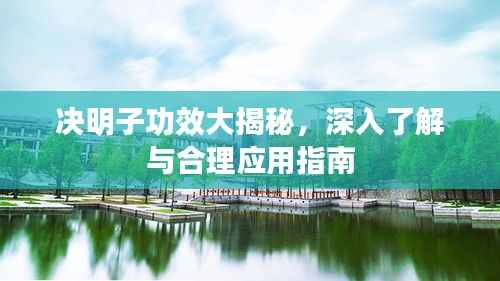 决明子功效大揭秘,深入了解与合理应用指南